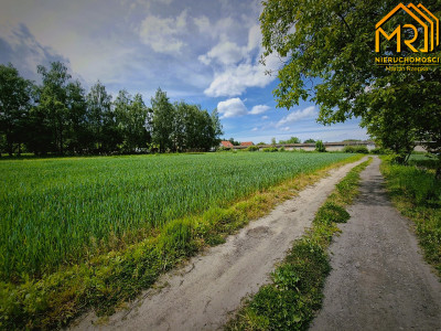 Trzy działki pod zabudowę jednorodzinną blisko Tarno -
małopolskie Zdjęcie nr 7