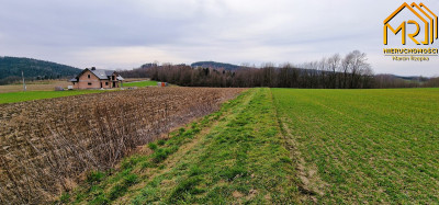 Duża działka w Brzozowej gmina Gromnik - Brzozowa  -
małopolskie Zdjęcie nr 14
