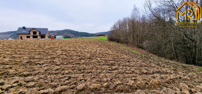 Duża działka w Brzozowej gmina Gromnik - Brzozowa  -
małopolskie Zdjęcie nr 8