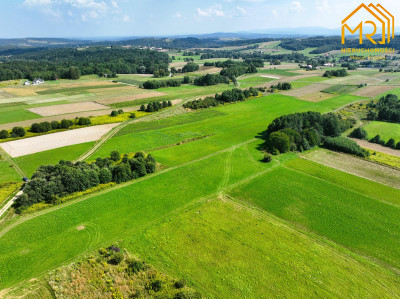 Działka pod budowę powiat tarnowski - Szerzyny  -
małopolskie Zdjęcie nr 7