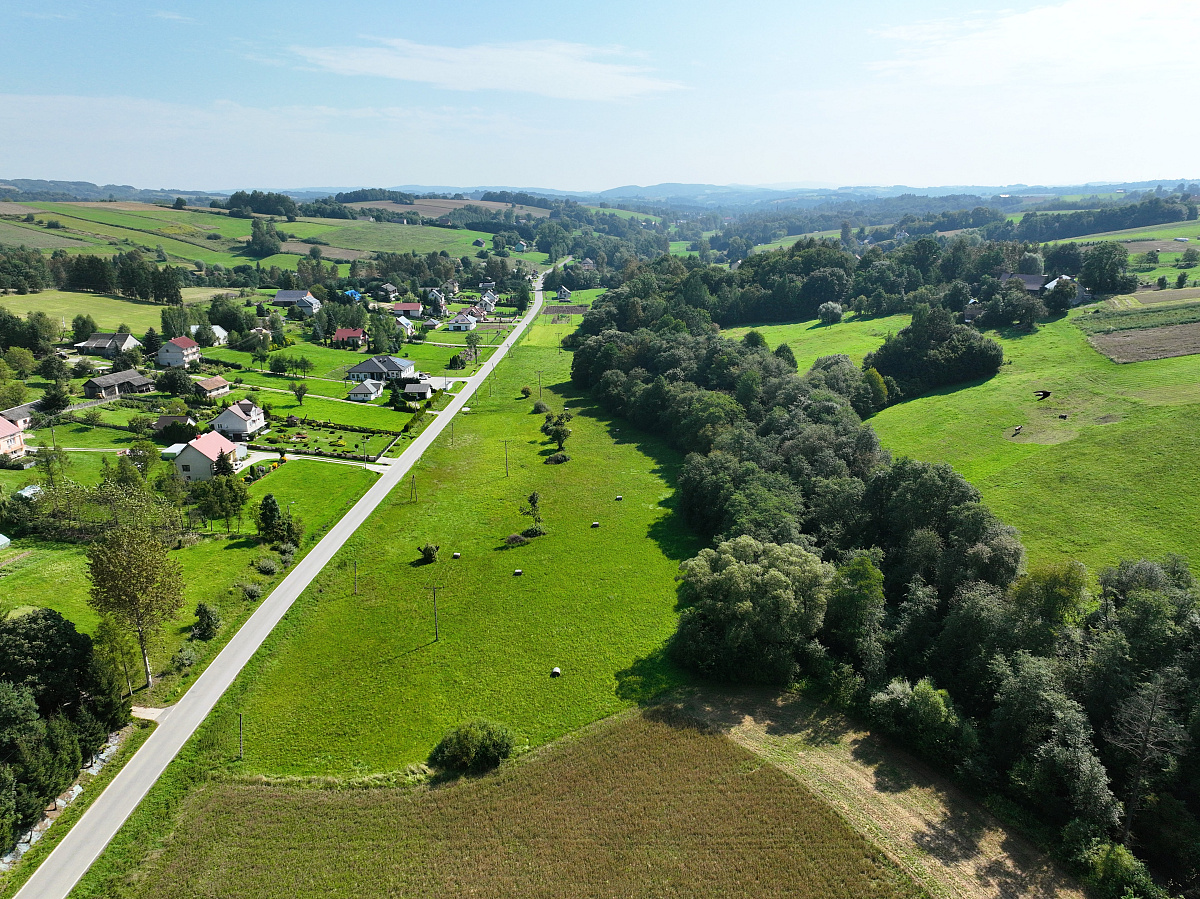 Łąka blisko drogi głównej w Lubczy -
małopolskie Zdjęcie nr 1