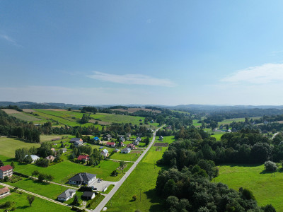 Łąka blisko drogi głównej w Lubczy -
małopolskie Zdjęcie nr 10