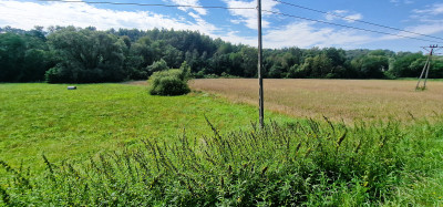 Łąka blisko drogi głównej w Lubczy -
małopolskie Zdjęcie nr 6