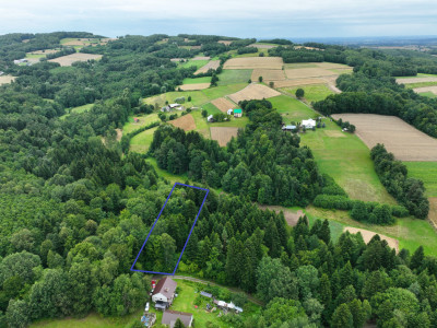Działka leśna koło Ryglic -
małopolskie