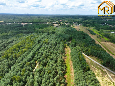 Działki po zabudowę w Żdżarach powiat dębicki - Żdżary  -
podkarpackie  Zdjęcie nr 6