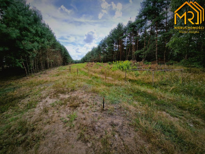Działki po zabudowę w Żdżarach powiat dębicki - Żdżary  -
podkarpackie  Zdjęcie nr 8