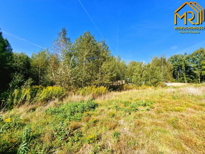 Działka budowlano-rolna w gminie Tuchów - Trzemesna  -
małopolskie Zdjęcie nr 10