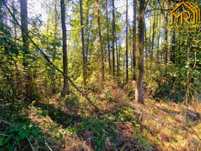 Działka budowlano-rolna w gminie Tuchów - Trzemesna  -
małopolskie Zdjęcie nr 12