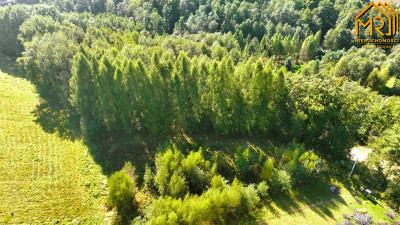 Działka budowlano-rolna w gminie Tuchów - Trzemesna  -
małopolskie Zdjęcie nr 7