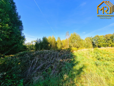 Działka budowlano-rolna w gminie Tuchów - Trzemesna  -
małopolskie Zdjęcie nr 9