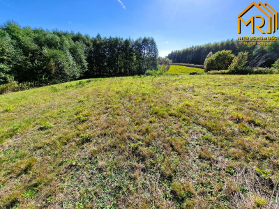Działka budowlano-rolna na pograniczu Podkarpacia  - Łęki Górne  -
podkarpackie Zdjęcie nr 5