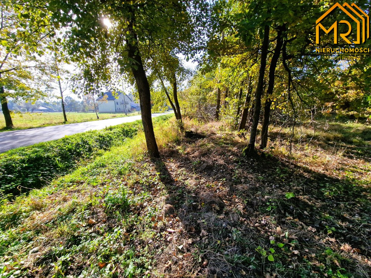 Duża działka budowlano-rolna w gminie Dąbrowa Tarn - Sutków  -
małopolskie Zdjęcie nr 1