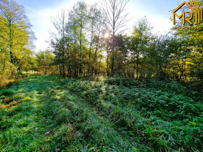 Duża działka budowlano-rolna w gminie Dąbrowa Tarn - Sutków  -
małopolskie Zdjęcie nr 11