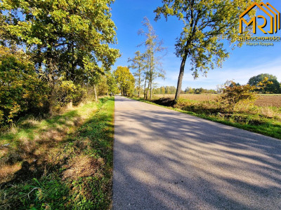 Duża działka budowlano-rolna w gminie Dąbrowa Tarn - Sutków  -
małopolskie Zdjęcie nr 13