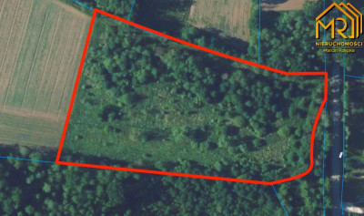 Duża działka budowlano-rolna w gminie Dąbrowa Tarn - Sutków  -
małopolskie Zdjęcie nr 2