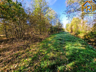 Duża działka budowlano-rolna w gminie Dąbrowa Tarn - Sutków  -
małopolskie Zdjęcie nr 4