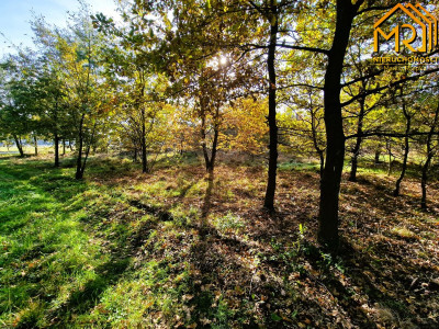Duża działka budowlano-rolna w gminie Dąbrowa Tarn - Sutków  -
małopolskie Zdjęcie nr 5
