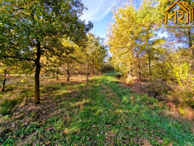 Duża działka budowlano-rolna w gminie Dąbrowa Tarn - Sutków  -
małopolskie Zdjęcie nr 6