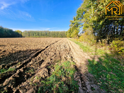 Duża działka budowlano-rolna w gminie Dąbrowa Tarn - Sutków  -
małopolskie Zdjęcie nr 7