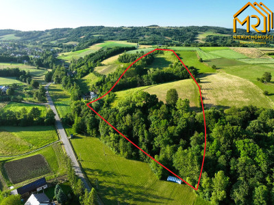 Działka 479 ha z możliwością uzyskania WZ - Wola Lubecka  -
małopolskie
