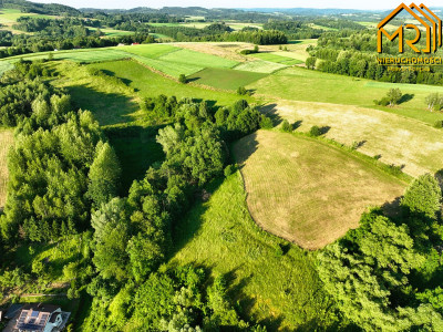 Działka 479 ha z możliwością uzyskania WZ - Wola Lubecka  -
małopolskie Zdjęcie nr 4