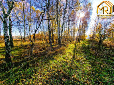 Działka budowlano-rolna w gminie Skrzyszów  - Pogórska Wola  -
małopolskie Zdjęcie nr 11