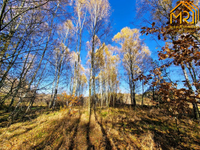 Działka budowlano-rolna w gminie Skrzyszów  - Pogórska Wola  -
małopolskie Zdjęcie nr 7