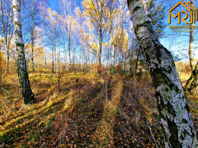 Działka budowlano-rolna w gminie Skrzyszów  - Pogórska Wola  -
małopolskie Zdjęcie nr 8