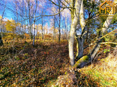 Działka budowlano-rolna w gminie Skrzyszów  - Pogórska Wola  -
małopolskie Zdjęcie nr 9