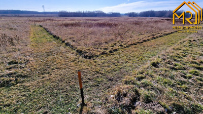 Działka budowlana w gminie Skrzyszów  - Ładna  -
małopolskie Zdjęcie nr 10