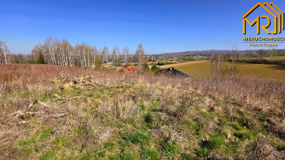 Działka budowlano-rolna na granicy gmin - Świebodzin  -
małopolskie Zdjęcie nr 6