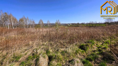 Działka budowlano-rolna na granicy gmin - Świebodzin  -
małopolskie Zdjęcie nr 9
