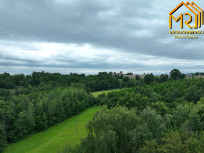 Działka leśna w gminie Ryglice - Lubcza  -
małopolskie Zdjęcie nr 7