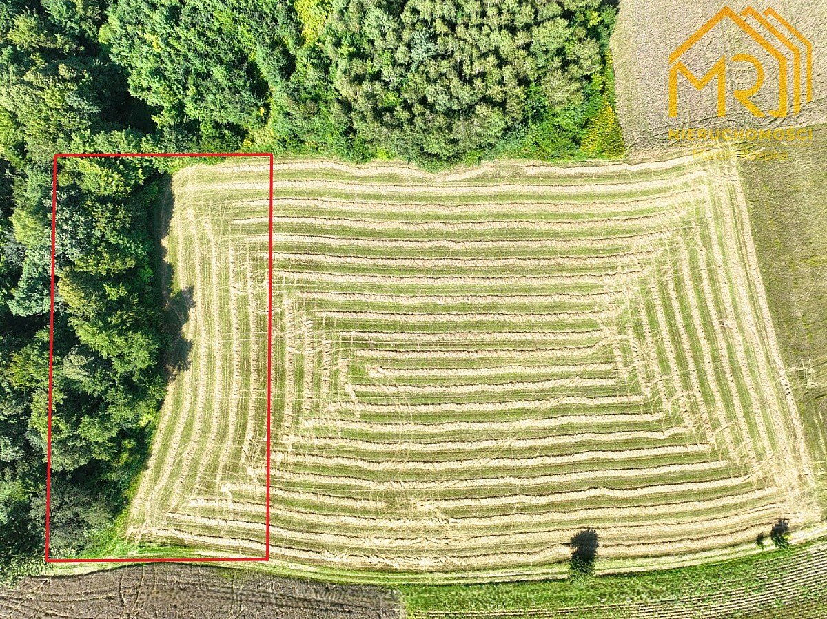 Działka rolna 033 ha w gminie Ryglice  - Lubcza  -
małopolskie Zdjęcie nr 1