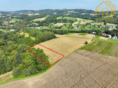 Działka rolna 033 ha w gminie Ryglice  - Lubcza  -
małopolskie Zdjęcie nr 3