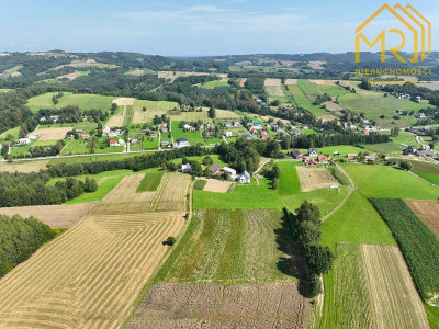 Działka rolna 033 ha w gminie Ryglice  - Lubcza  -
małopolskie Zdjęcie nr 4