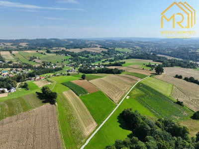 Działka rolna 033 ha w gminie Ryglice  - Lubcza  -
małopolskie Zdjęcie nr 6
