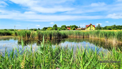 Działka 172 ha  MPZP  Sitno  staw  przy lesie - Sitno   -
Zachodniopomorskie Zdjęcie nr 10