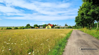 Działka 172 ha  MPZP  Sitno  staw  przy lesie - Sitno   -
Zachodniopomorskie Zdjęcie nr 11