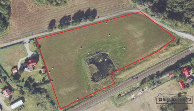 Działka 172 ha  MPZP  Sitno  staw  przy lesie - Sitno   -
Zachodniopomorskie Zdjęcie nr 13