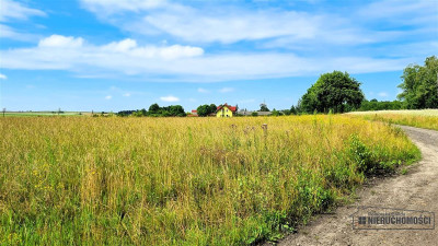 Działka 172 ha  MPZP  Sitno  staw  przy lesie - Sitno   -
Zachodniopomorskie Zdjęcie nr 7