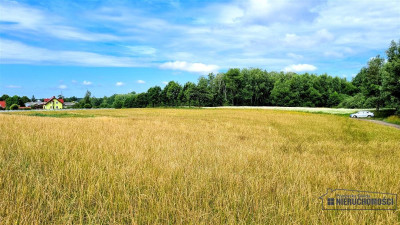 Działka 172 ha  MPZP  Sitno  staw  przy lesie - Sitno   -
Zachodniopomorskie Zdjęcie nr 8