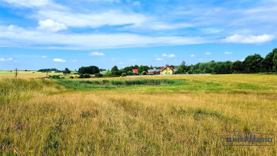 Działka 172 ha  MPZP  Sitno  staw  przy lesie - Sitno   -
Zachodniopomorskie Zdjęcie nr 9