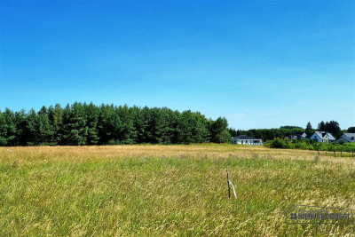 Turowo - ok 3 km od Szczecinka - Turowo   -
Zachodniopomorskie Zdjęcie nr 2