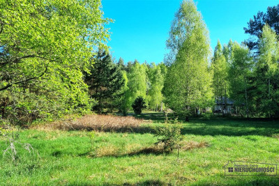 Działka budowlana blisko lasu i jeziora - Gwda Wielka   -
Zachodniopomorskie Zdjęcie nr 11