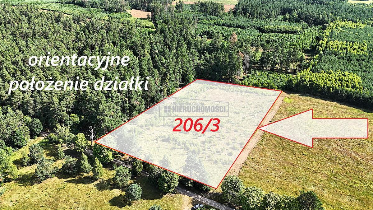 Okolica jeziora Dołgie i kompleksów leśnych - Dołgie   -
Zachodniopomorskie Zdjęcie nr 1