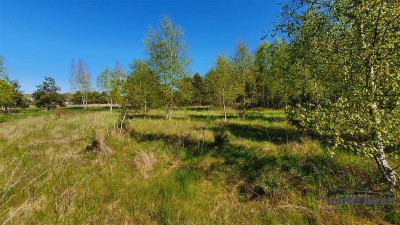 Rakowo - działka budowlana 15 km od Jeziora Komor - Rakowo   -
Zachodniopomorskie Zdjęcie nr 12