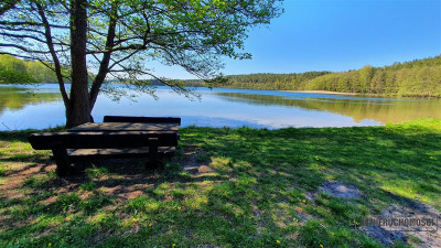 Rakowo - działka budowlana 15 km od Jeziora Komor - Rakowo   -
Zachodniopomorskie Zdjęcie nr 4