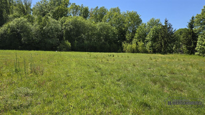 Dwie działki budowlane pod lasem w Otrzep - na rat - Otrzep   -
Zachodniopomorskie Zdjęcie nr 10