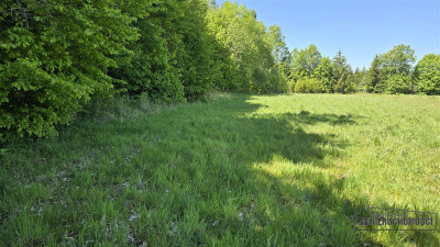 Dwie działki budowlane pod lasem w Otrzep - na rat - Otrzep   -
Zachodniopomorskie Zdjęcie nr 6